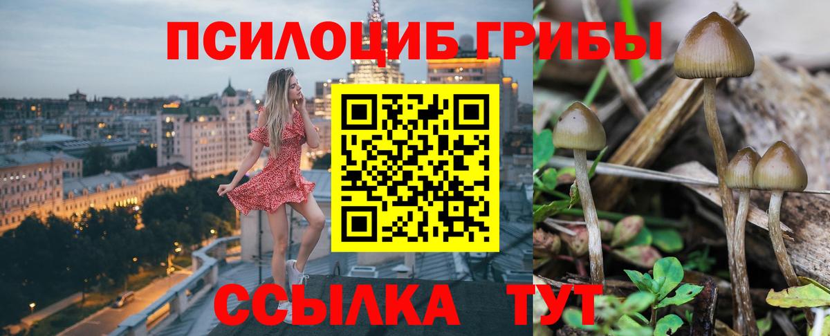 Торжок  Галлюциногенные грибы MAGIC MUSHROOMS  Вход с VPN 
